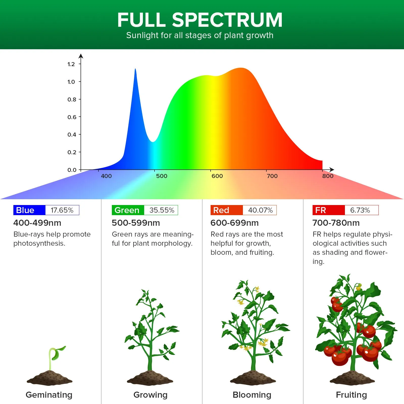 10W Full Spectrum 2-Head Grow Lights With Timer/No Timer