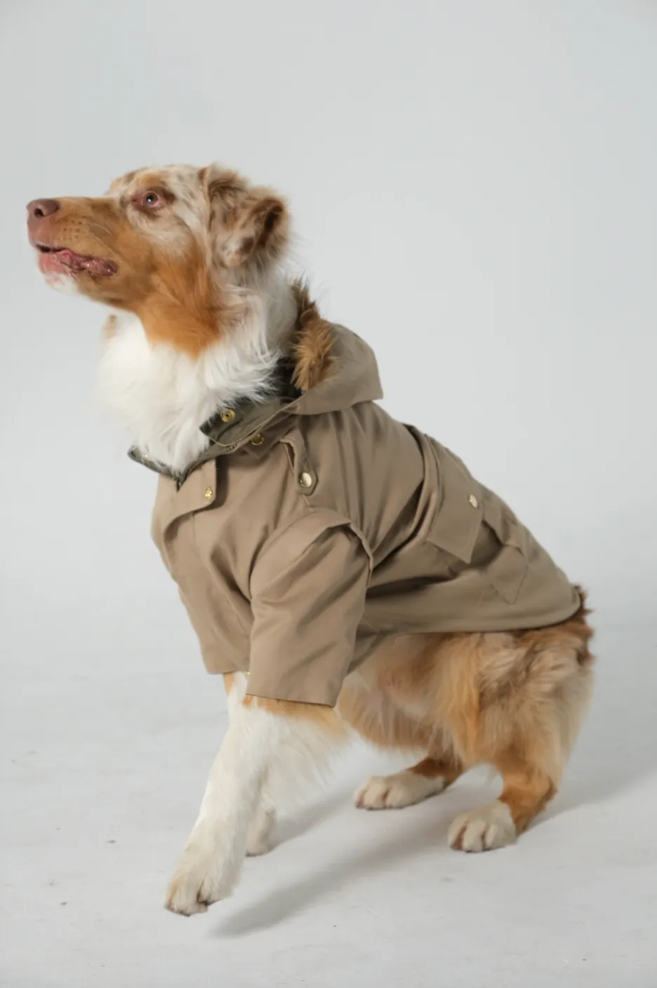 Dog Doble face Parka Military Green/Beige