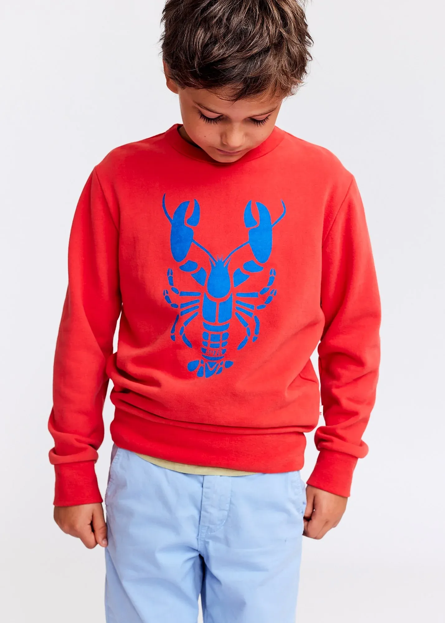 Tom Sweater Homard